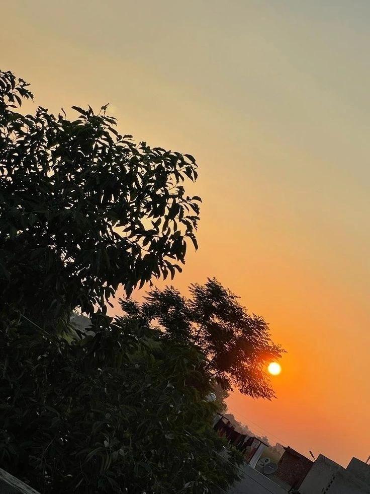 सबसे बड़ी समस्या's image