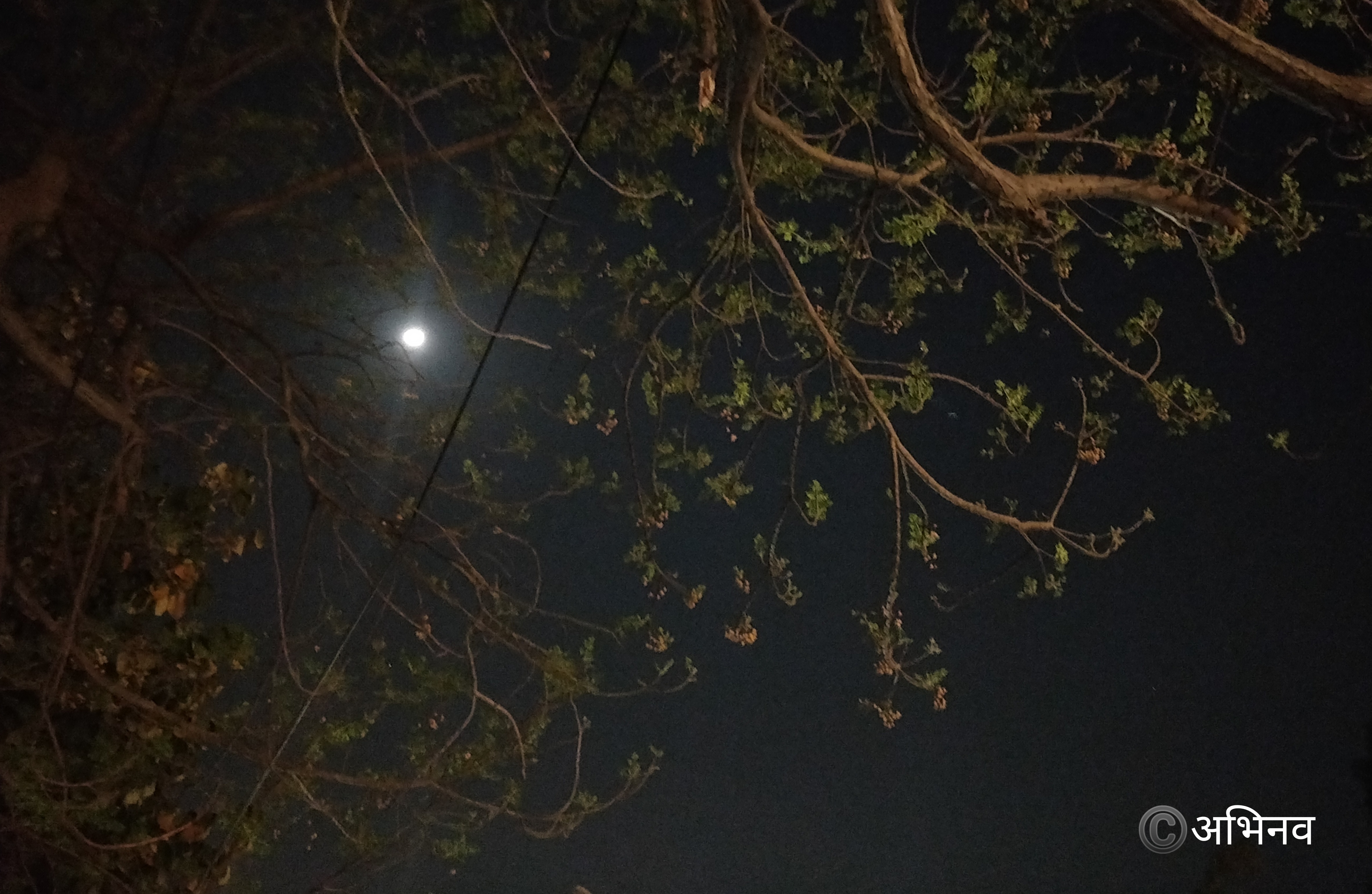 ज़िंदगी | लबों के गीत's image