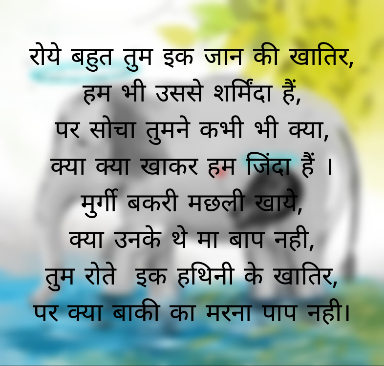 दोगला इंसान's image