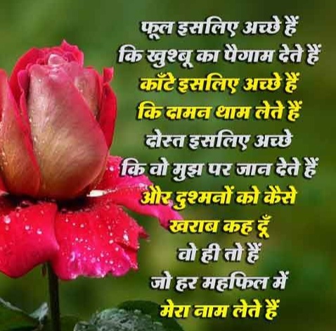 फूल और कांटे's image
