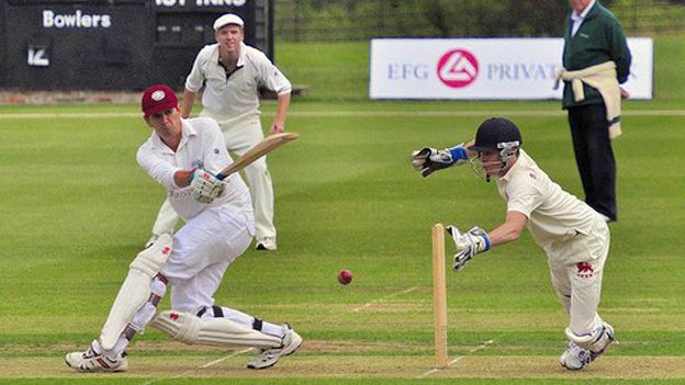 Cricket: An Heroic Poem's image