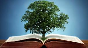 The book of nature | Letters from father to daughter's image