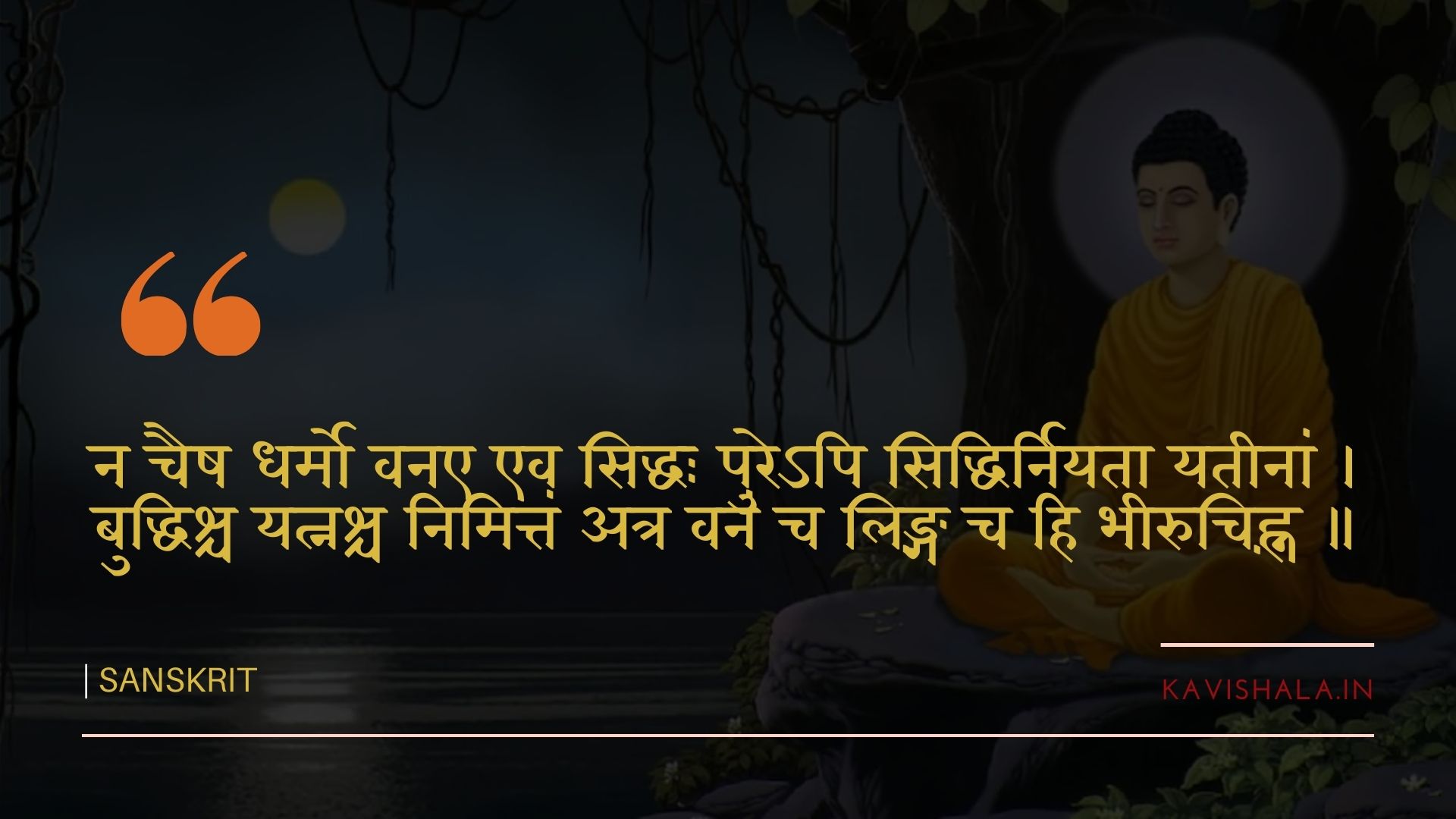 न चैष धर्मो वनए एव सिद्धः पुरेऽपि सिद्धिर्नियता यतीनां's image