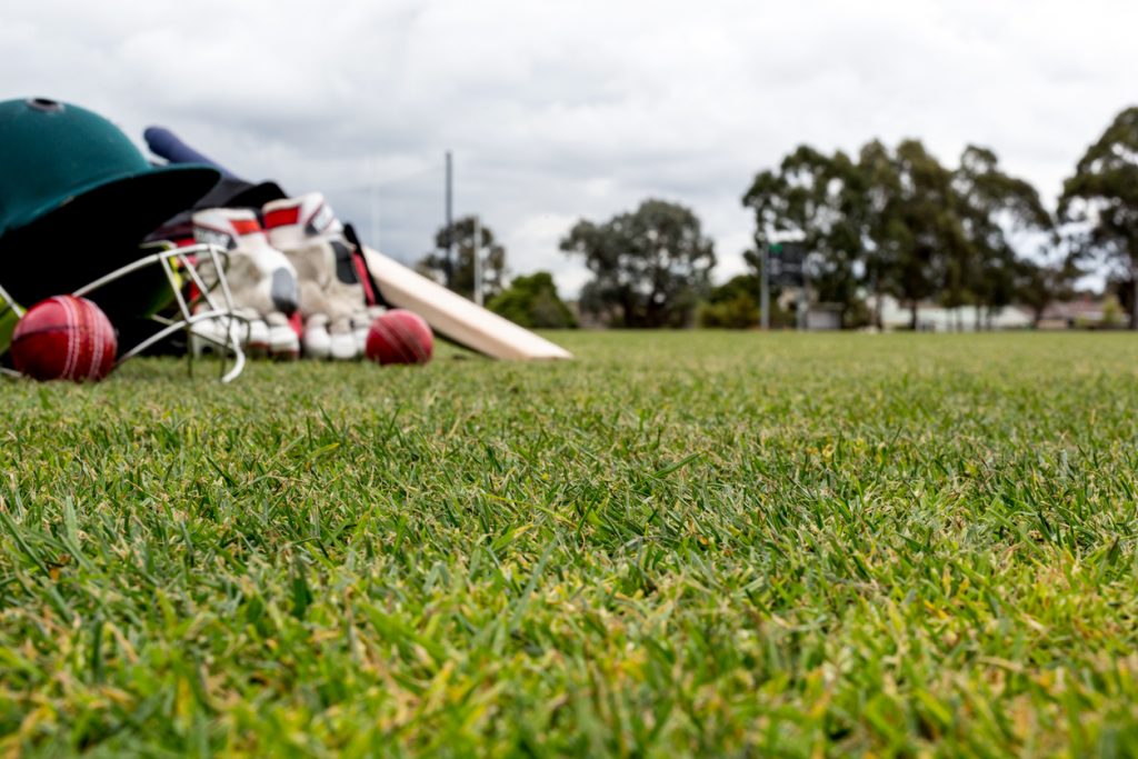 Cricket - Poetry in motion!'s image