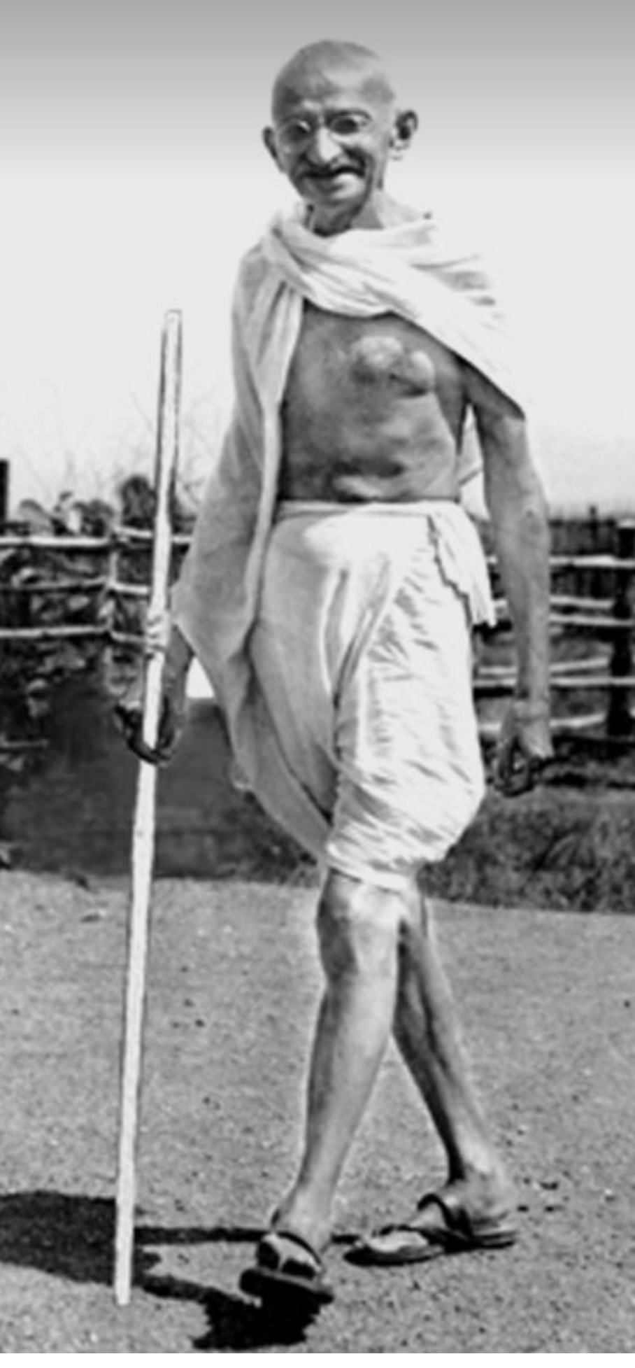 गाँधी's image