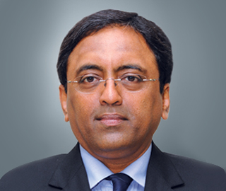 S. N. Subrahmanyan's image