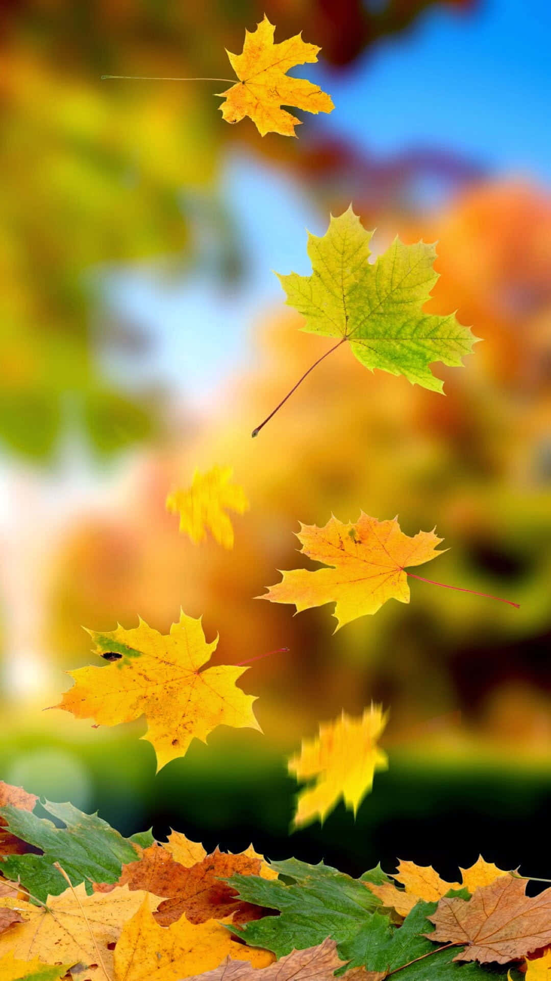 याद's image