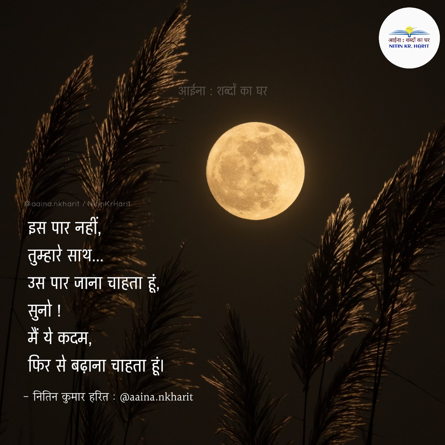 उस पार's image