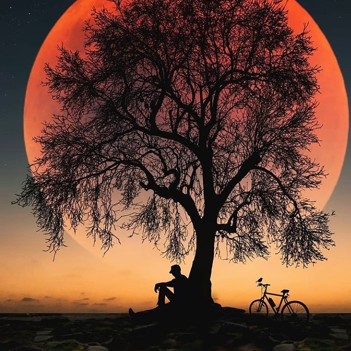 मौन's image