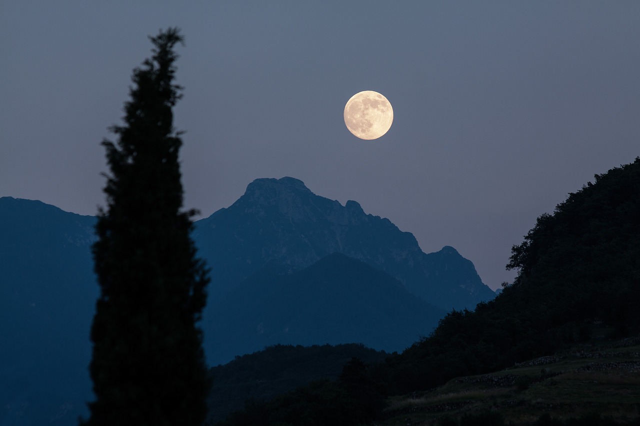 चाँद को क्या मालूम  [ Chand ko Kya Maloom ]'s image