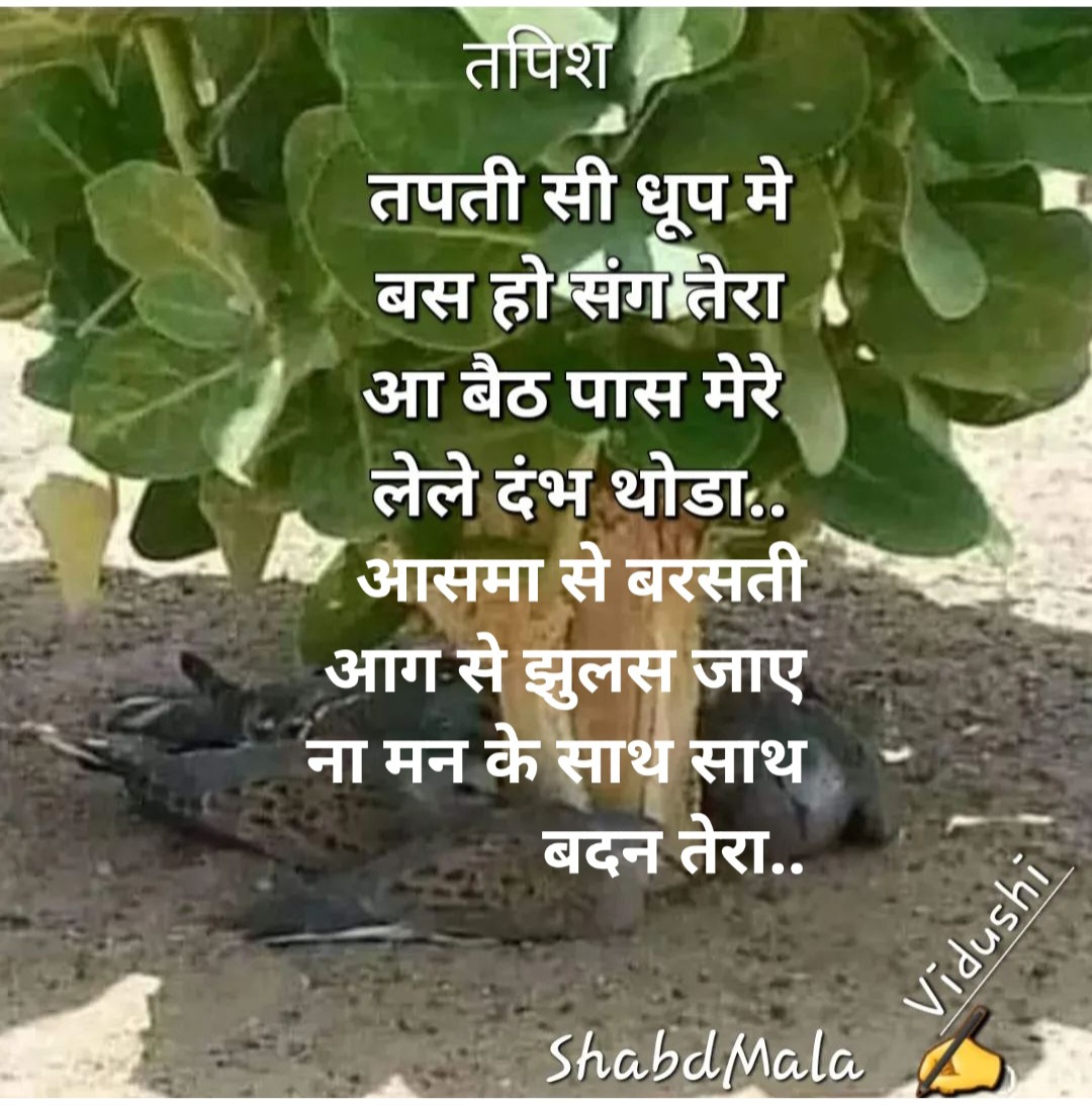 तपिश's image