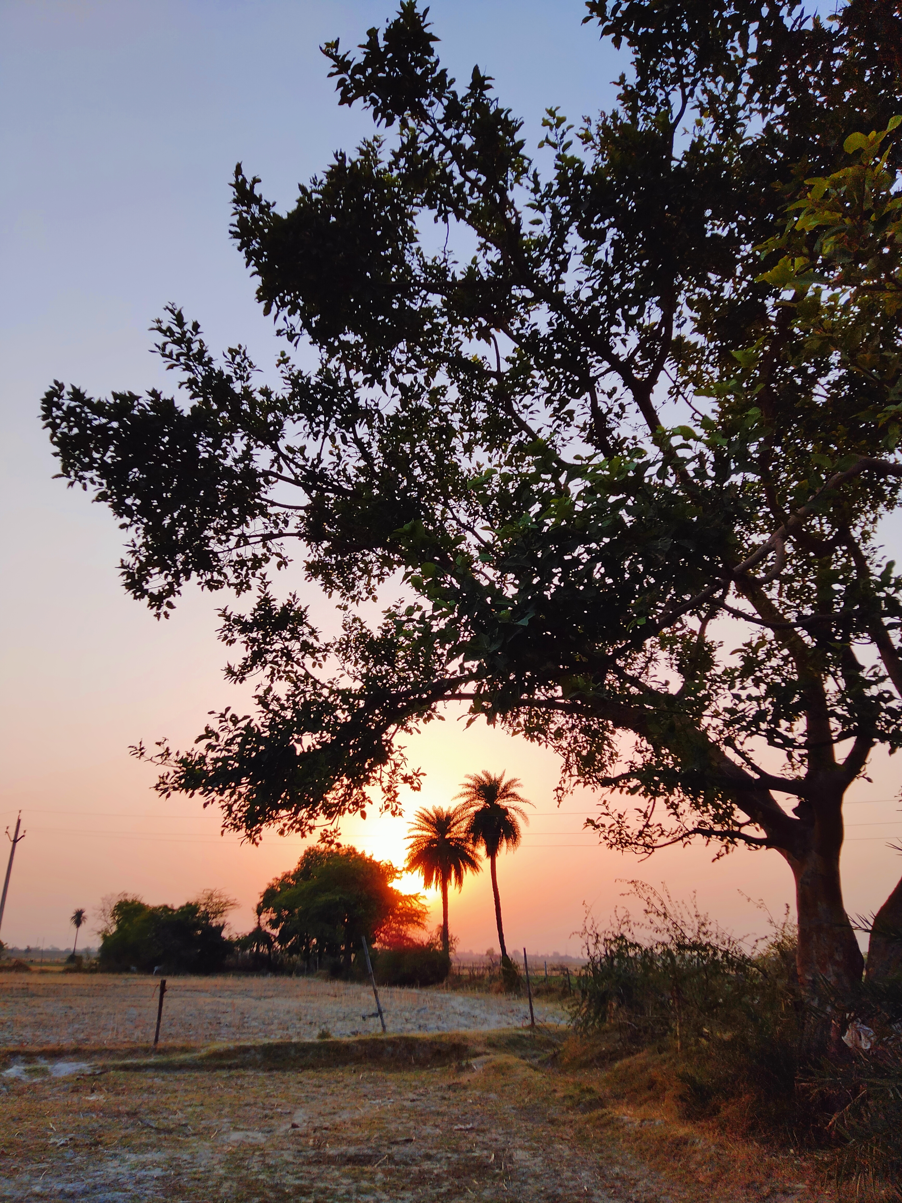 ये रौशनी's image