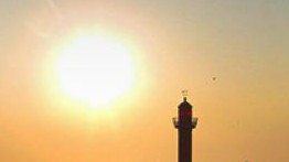 Ujala's image