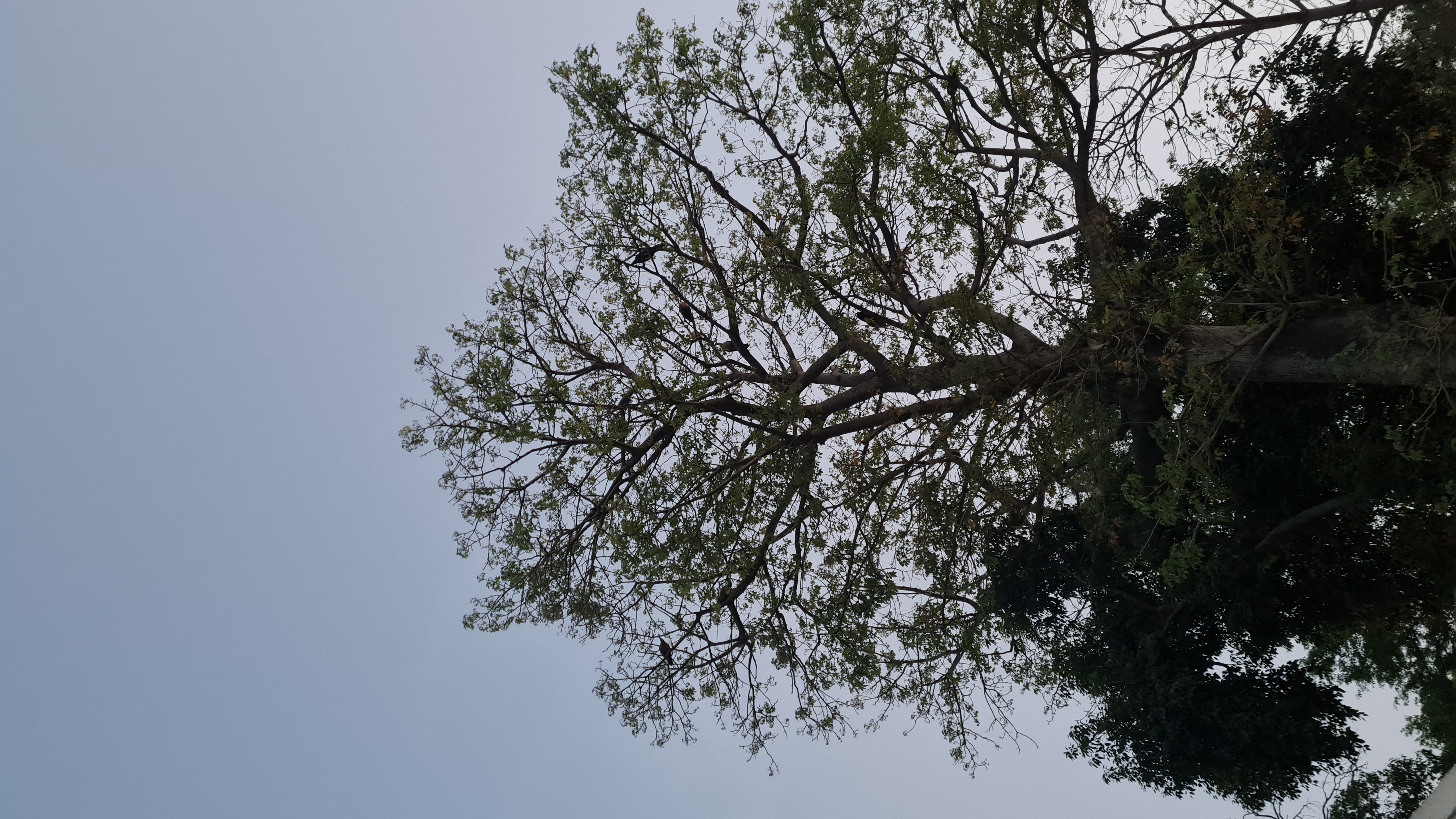 इस कहर से बचा खुदा's image