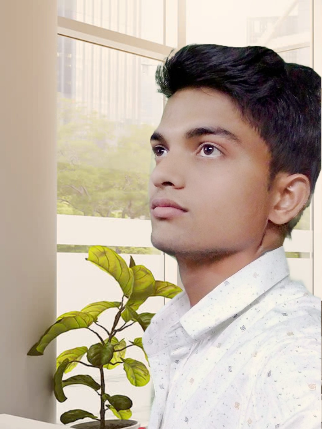 amirkamalganj