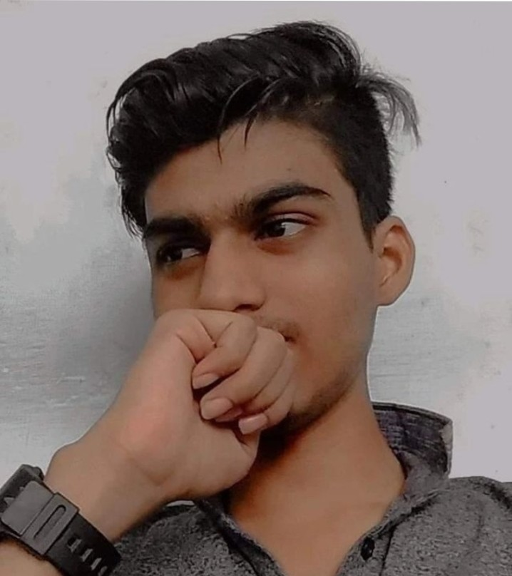 Rausheen Hasan